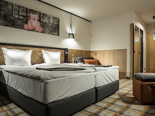 Hotel Rila Borovets (8 / 65)