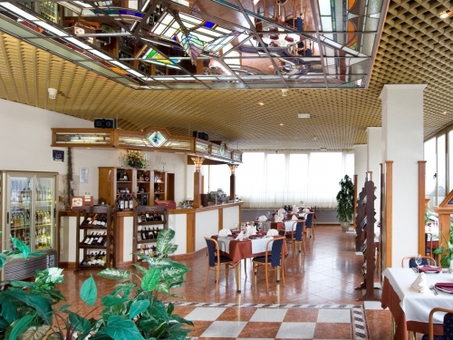 Hotel Samokov Borovets (16 / 22)