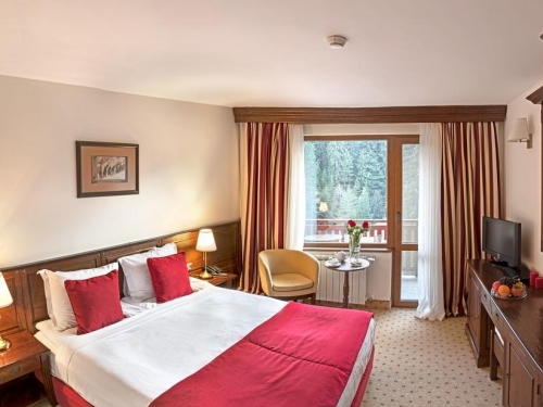 Hotel Yastrebets Wellnes & Spa Borovets (6 / 45)