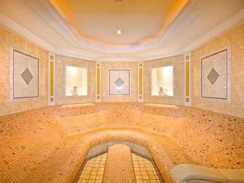 Hotel Yastrebets Wellnes & Spa Borovets (23 / 45)