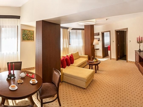 Hotel Yastrebets Wellnes & Spa Borovets (10 / 45)