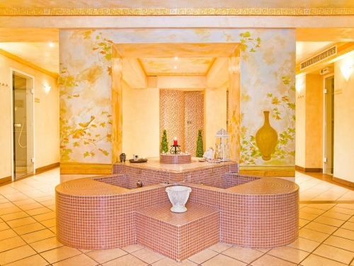 Hotel Yastrebets Wellnes & Spa Borovets (26 / 45)