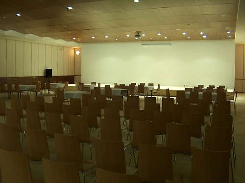 Hotel Orlovets Pamporovo Ski Bulgaria (36 / 40)