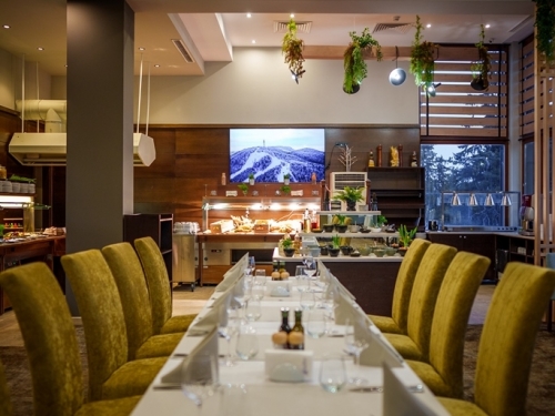 Hotel Orlovets Pamporovo (18 / 40)