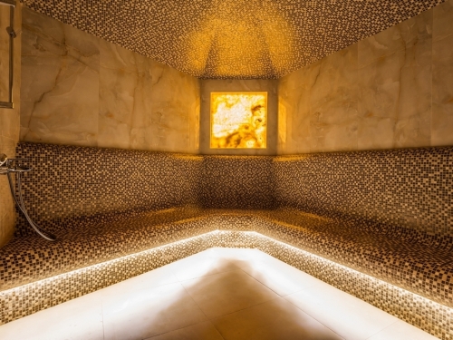 Hotel Orlovets Pamporovo Ski Bulgaria (28 / 40)