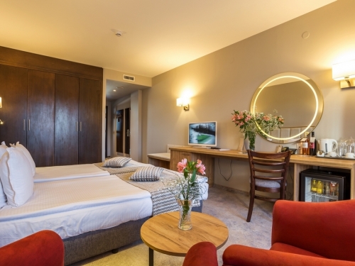 Hotel Orlovets Pamporovo (6 / 40)