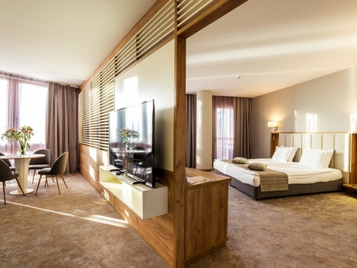 Hotel Orlovets Pamporovo (9 / 40)