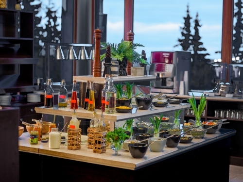 Hotel Orlovets Ski Bulgaria (15 / 40)