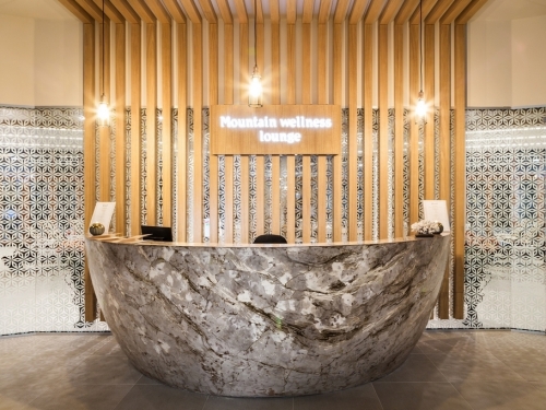 Hotel Orlovets Pamporovo (20 / 40)