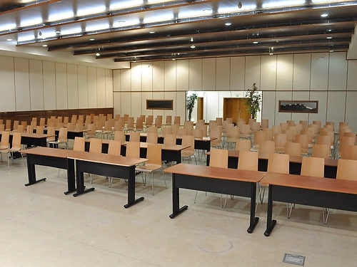 Hotel Orlovets Pamporovo Ski Bulgaria (37 / 40)