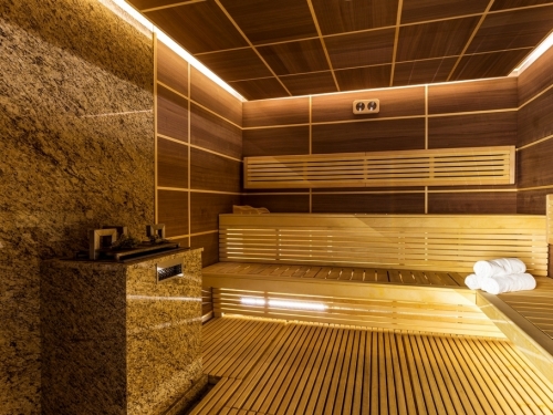 Hotel Orlovets Pamporovo (33 / 40)