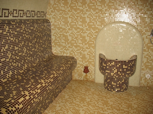 Hotel Murgavets Pamporovo Ski Bulgaria (40 / 47)