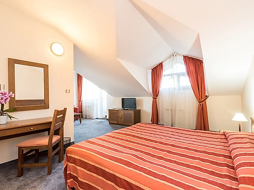 Hotel Evelina Palace Bansko (5 / 32)