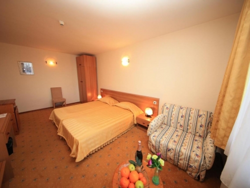 Bansko Hotel Bansko (10 / 18)