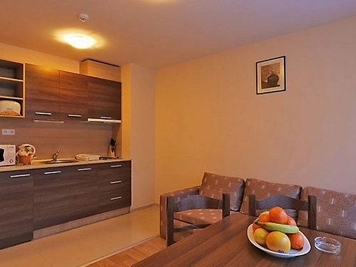 Hotel Belmont Apartamente Bansko Ski Bulgaria (15 / 20)