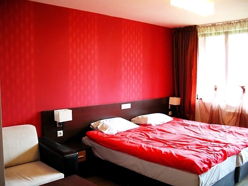 Hotel Alexander Bansko (20 / 22)