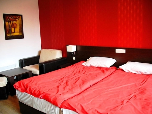 Hotel Alexander Bansko (9 / 22)