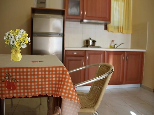 Hotel Vicky Apartments Lefkada (12 / 15)