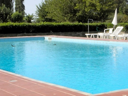 Hotel Azapiko Blue Sea Grecia (5 / 17)