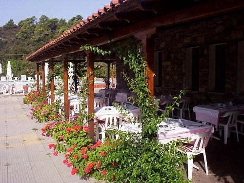 Hotel Azapiko Blue Sea Grecia (6 / 17)