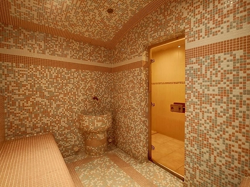 Hotel Redenka Holiday Club Ski Bulgaria (31 / 39)