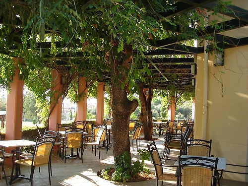 Hotel Century Resort Grecia (19 / 23)