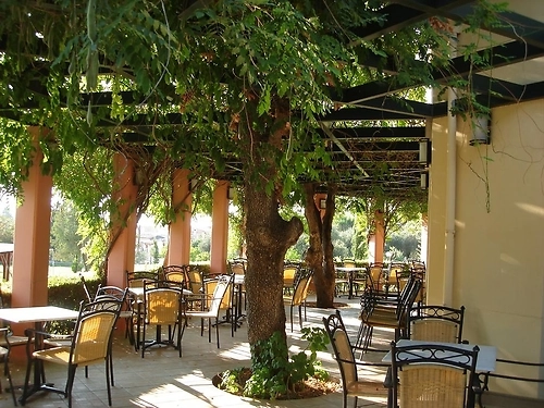 Hotel Century Resort Grecia (19 / 23)