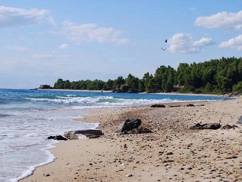 Hotel Petros Italos Sithonia (20 / 22)