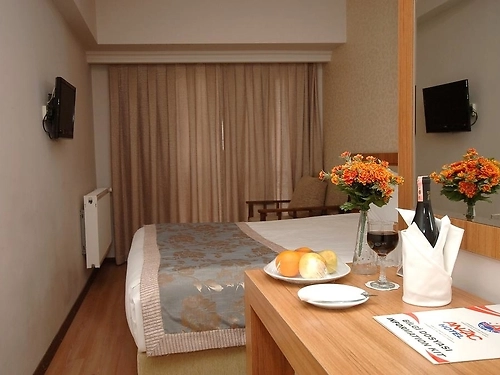 Hotel Grand Anzac Canakkale (8 / 26)