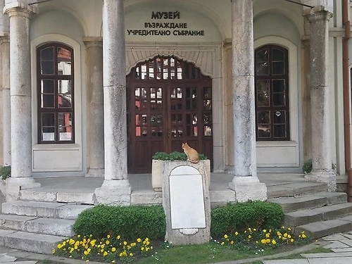 Hotel Tarnava Ski Bulgaria (22 / 25)