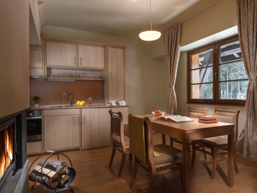 Hotel Effect Malina Residence Pamporovo (18 / 24)