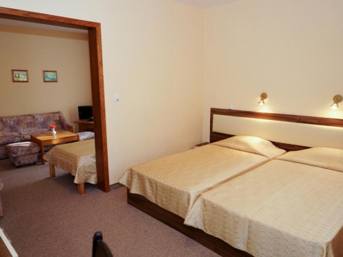 Hotel Bor Borovets (7 / 32)