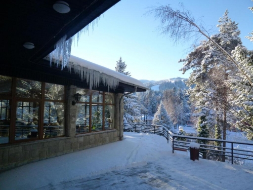 Hotel Bor Borovets Ski Bulgaria (1 / 18)
