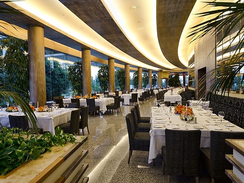 Hotel Gloria Serenity Resort Belek Turcia (23 / 31)