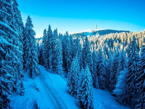 Hotel Sunny Hills Ski & Wellness Pamporovo Ski Bulgaria (46 / 49)