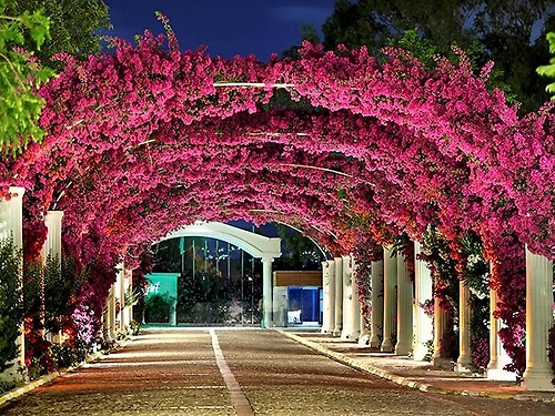 Hotel Kadikale Resort & Spa Bodrum Turcia (20 / 20)