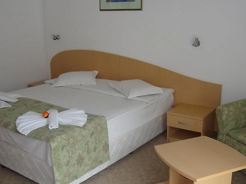 Hotel Mena Palace Sunny Beach (8 / 23)