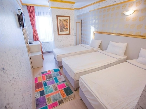 Hotel Dedem Istanbul (7 / 20)