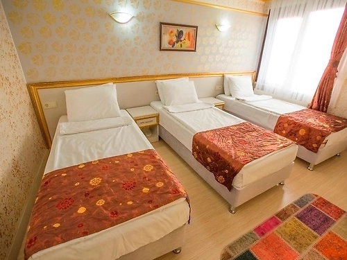 Hotel Dedem Istanbul (11 / 20)