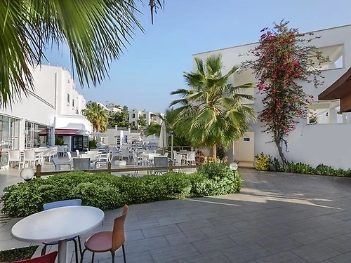 Club Hotel Shark Bodrum Turcia (13 / 16)