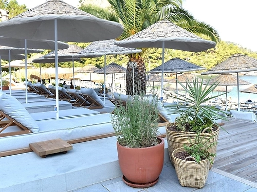 Hotel Hillside Beach Club Fethiye Turcia (12 / 30)