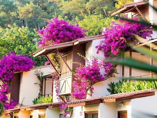 Hotel Hillside Beach Club Turcia (29 / 30)