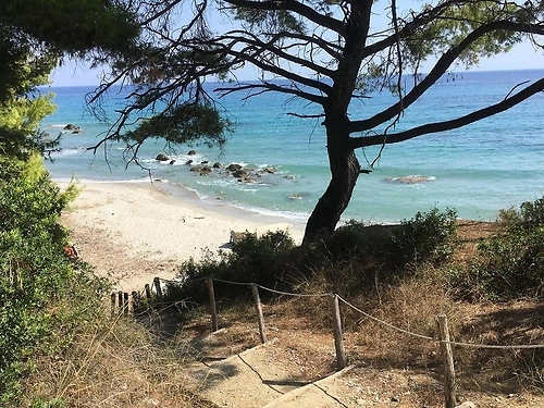 Hotel Mint Retreat Suites Kassandra (5 / 21)