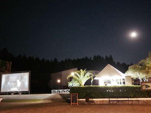 Hotel Porto Carras Sithonia Grecia (19 / 21)