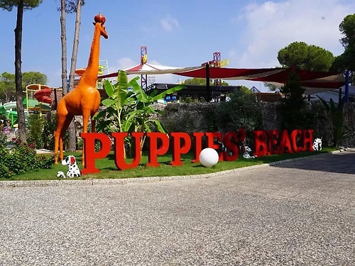 Hotel Selectum Luxury Resort Belek Turcia (10 / 24)