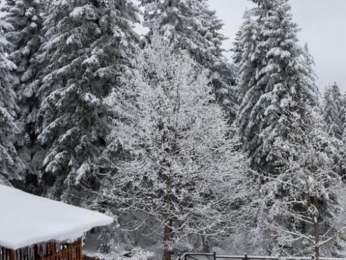 Hotel Victoria Borovets Ski Bulgaria (15 / 24)