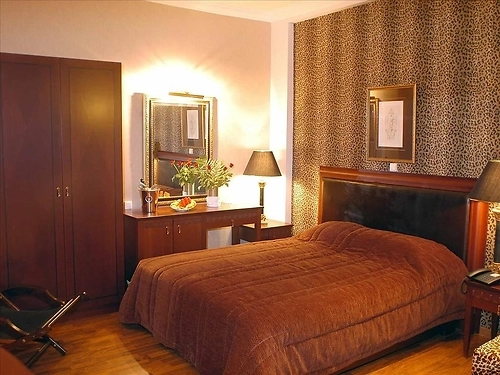 Hotel Mediterranean Olympus Riviera Olimpului (14 / 27)