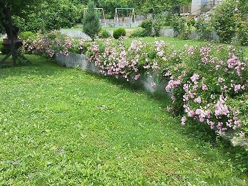 Hotel Elit Balchik (25 / 33)