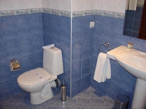 Hotel Bojur Bansko (9 / 25)