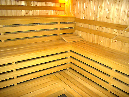 Hotel Apartamente Eagle Lodge Bansko (18 / 28)